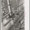 Carpenter working on migrant camp at Sinton, Texas