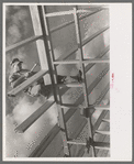 Carpenter working on migrant camp at Sinton, Texas