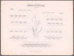 New Spencerian compendium of penmanship