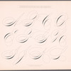 New Spencerian compendium of penmanship