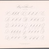 New Spencerian compendium of penmanship