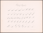 New Spencerian compendium of penmanship