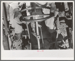 Day laborer on tractor on large farm near Ralls, Texas