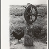 Corn grinder on tenant's farm near Warner, Oklahoma