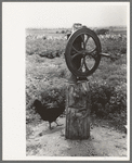 Corn grinder on tenant's farm near Warner, Oklahoma