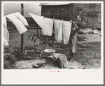 Daughter of tenant farmer hanging up clothes near Warner, Oklahoma