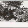 Storm cellar of agricultural day laborer near Webber Falls, Muskogee County, Oklahoma