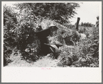 Storm cellar of agricultural day laborer near Webber Falls, Muskogee County, Oklahoma