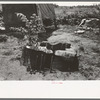 Chicken coop of agricultural day laborer near Webber Falls, Muskogee County, Oklahoma