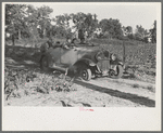 Pushing a car belonging to agricultural day laborer to start it, near Muskogee, Muskogee County, Oklahoma
