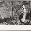 White woman, tenant farmer, feeding weeds to her hogs, McIntosh County, Oklahoma