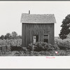 Abandoned house, surrounded by growing corn, McIntosh Co., Oklahoma
