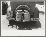 Milk cans tied on back of farm automobile, Muskogee, Oklahoma