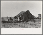 Tractor plowing near abandoned and wrecked tenant house, Wagoner County, Oklahoma