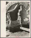 Son of white migrant stepping from covered wagon-type trailer, Wagoner County, Oklahoma