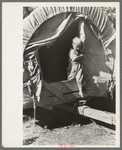 Son of white migrant stepping from covered wagon-type trailer, Wagoner County, Oklahoma