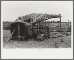 Hogpen of Negro tenant farmer held up by part of an automobile body, Wagoner County, Oklahoma