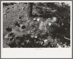 Tin cans and glass jars near camp of agricultural day laborers camped near Spiro. Sequoyah County, Oklahoma