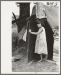 Child of agricultural day laborer coming out of tent near Spiro. Sequoyah County, Oklahoma