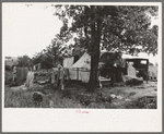 Camp of itinerant statue maker and agricultural day laborer on Poteau Creek near Spiro. Sequoyah County, Oklahoma