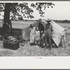 Veteran migrant agricultural worker and his family encamped on the Arkansas River, Wagoner Co., Oklahoma