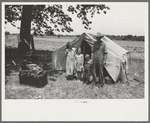 Veteran migrant agricultural worker and his family encamped on the Arkansas River, Wagoner Co., Oklahoma