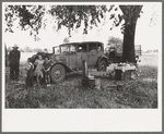 Camp of migratory workers in Arkansas River bottom, Muskogee County, Oklahoma