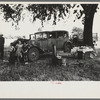 Camp of migratory workers in Arkansas River bottom, Muskogee County, Oklahoma