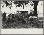 Camp of migratory workers in Arkansas River bottom, Muskogee County, Oklahoma
