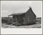 Home of Negro agricultural day laborers near Vian, Sequoyah Coounty, Oklahoma