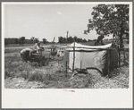 Camp of migratory workers who move along the road pushing their belongings in a cart, camped near Vian, Sequoyah County, Oklahoma