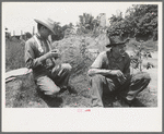 Potato pickers near Spiro, Oklahoma