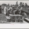 Activity around the weighing and loading point, string bean field near Muskogee, Oklahoma