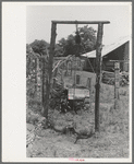 Well of white tenant farmer who is now on WPA (Work Projects Administration) near Sallisaw, Oklahoma