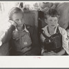 White migrant children sitting in back seat of family car east of Fort Gibson, Muskogee County, Oklahoma