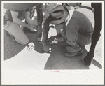 Strapping horse's ankles before polo match, Abilene, Texas