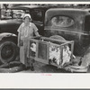 Farm woman, vendor of chickens, farmer's market, Weatherford, Texas