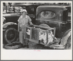 Farm woman, vendor of chickens, farmer's market, Weatherford, Texas