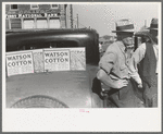 Farmer at market, Weatherford, Texas