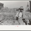 Farmer on a load of hay, farmers' market, Weatherford, Texas
