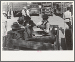 Farmers grouped around a calf in a trailer, farmers' market, Weatherford, Texas
