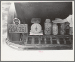 Seeds for sale on luggage carrier of automobile, farmers' market, Weatherford, Texas