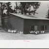 Chicken coop, Sabine Farms, Marshall, Texas