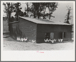 Chicken coop, Sabine Farms, Marshall, Texas
