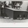Chicken coop, Sabine Farms, Marshall, Texas