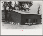 Chicken coop, Sabine Farms, Marshall, Texas
