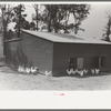 Chicken coop, Sabine Farms, Marshall, Texas