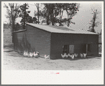 Chicken coop, Sabine Farms, Marshall, Texas