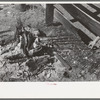 Branding irons in fire. Roundup near Marfa, Texas