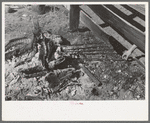 Branding irons in fire. Roundup near Marfa, Texas